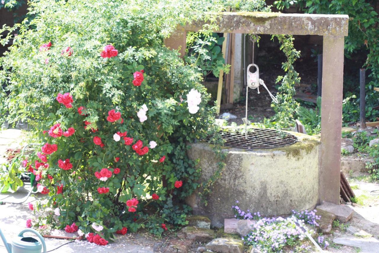 La Grange Aux Coqs Bed and Breakfast Ittenheim Εξωτερικό φωτογραφία